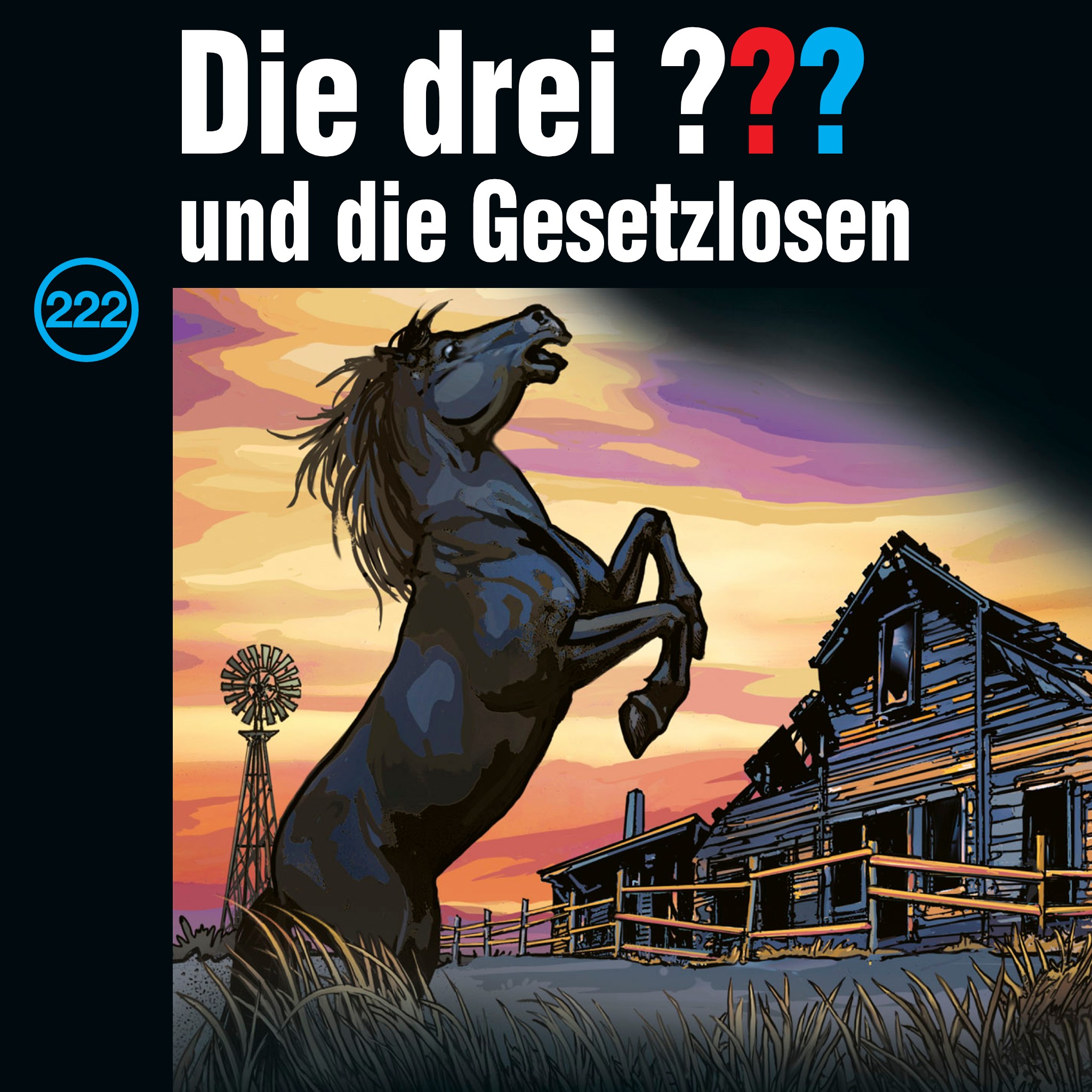 Cover Folge 222